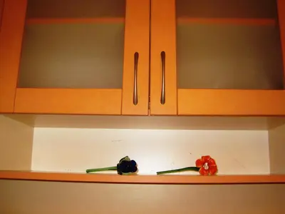 two toothbrushes sitting on a shelf in a kitchen at Apartment Nadejda in Varna City