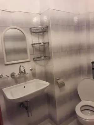 a bathroom with a sink and a toilet at Стаи за гости Петрови in Primorsko