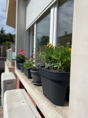 a row of potted plants sitting on a window sill at Charming Beach Holiday Apartment in Lozenets