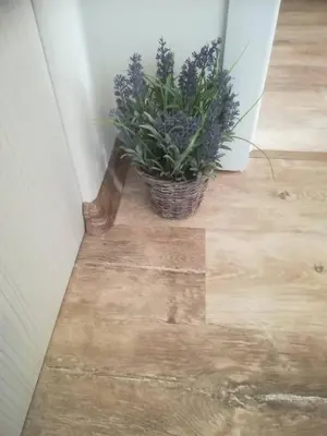 a potted plant sitting in the corner of a room at Apartment Batoevi Sozopol in Sozopol