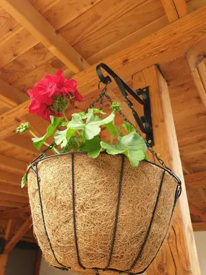 a basket with flowers in it hanging from a ceiling at Mirana Family Hotel in Burgas City