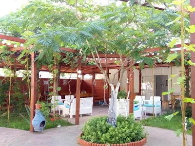 a patio with a table and chairs under a pergola at Aura in Primorsko