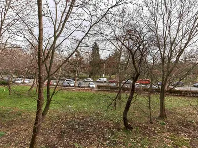 a group of trees in a park with cars at Апартамент Бриз in Burgas City