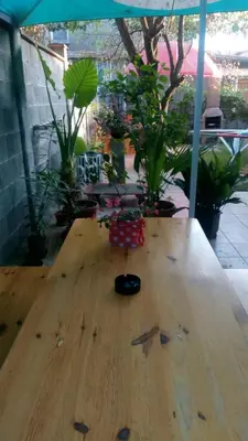 a wooden table in a room with potted plants at Matev Hotel in Burgas City