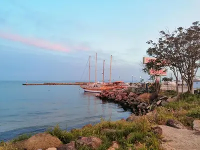 a group of boats docked at a dock in the water at Apartament ,,EDELVAIS- LUX'' in Nesebar