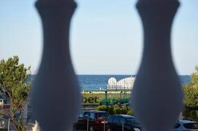a view of a roller coaster from behind a vase at studio ASI in Obzor