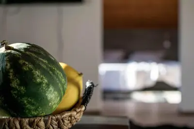 a basket of fruit sitting on a table at Cherry Garden Apartments in Sveti Vlas