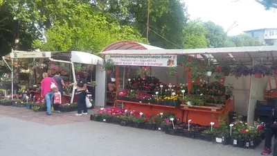 a group of people standing outside of a flower market at Vera by RV Apartments in Varna City