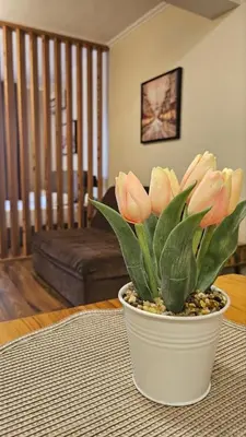a potted plant on a table in a living room at Apartment 7 and Studio 2 Quietly and peaceful place to relax in Sozopol
