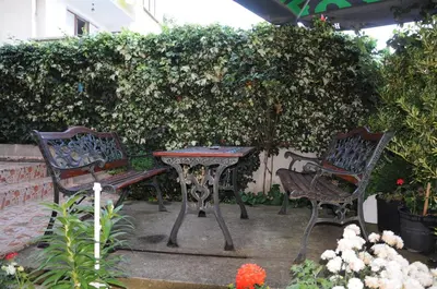 two chairs and a table in a garden at Hotel Babeva in Sveti Vlas