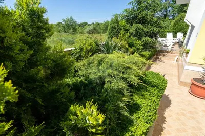 a garden with green shrubs and plants at Hotel Luxor in Lozenets