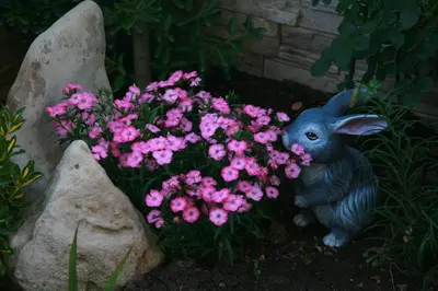 a statue of a bunny holding a bunch of pink flowers at Hotel Luxor in Lozenets