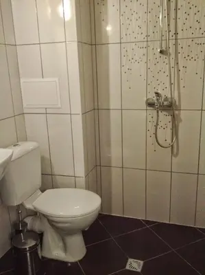 a bathroom with a toilet and a shower at Morska Zvezda Guest House in Chernomorets
