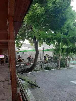 a group of people sitting at tables under a tree at хотел Централ in Sozopol