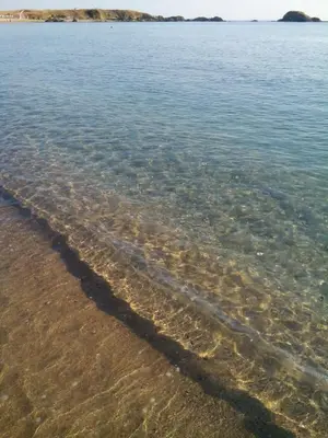 a view of the shoreline of a body of water at Hotel Paradise in Lozenets