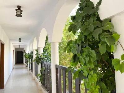 a hallway of a house with plants on the walls at Комплекс «ТОП» in Sveti Vlas