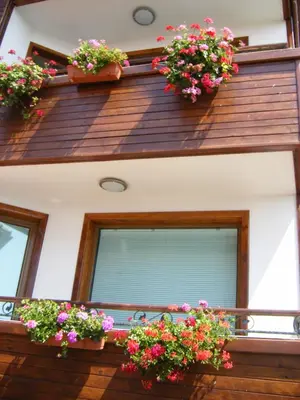 a balcony with flower boxes on a house at Dari Guest Rooms Стаи за гости Дари in Nesebar