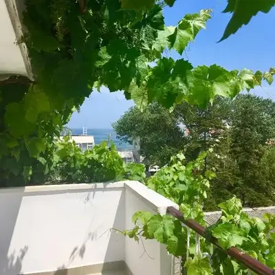 Guest House Barbov
