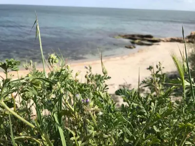 Gallery image of Black Sea Wellnest in Aheloy