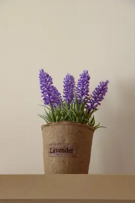 a vase filled with purple flowers sitting on a shelf at Margis Home in Burgas City