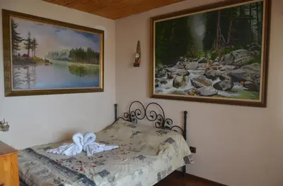a bedroom with a bed and two pictures on the wall at Guest House Amazonka in Varna City