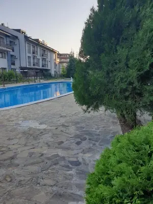 a tree sitting next to a swimming pool at MitProt luks studio Panorama Bay 2 ap39 in Sveti Vlas
