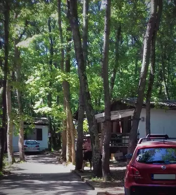a house with a lot of trees on a street at Bungalows Dani in Kamchia