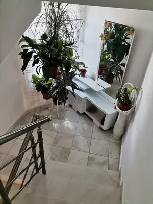 a stairway with potted plants and a mirror at Guest House Konomaevi in Sozopol