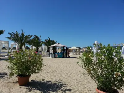 two potted plants in the sand on a beach at Menada Miramar Palace Apartments in Sunny Beach