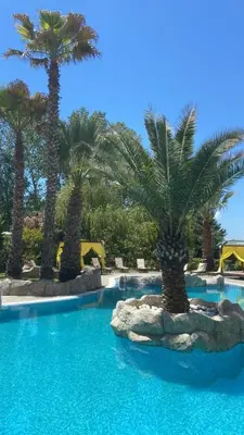a swimming pool with palm trees in a resort at Aphrodite Rose in Sunny Beach