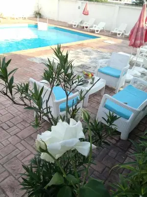 a group of chairs and a pool with a white flower at Alba Family Club Hotel in Primorsko