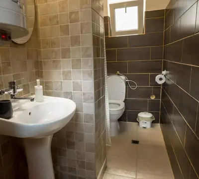 a bathroom with a sink and a toilet at Alexander in Shkorpilovtsi
