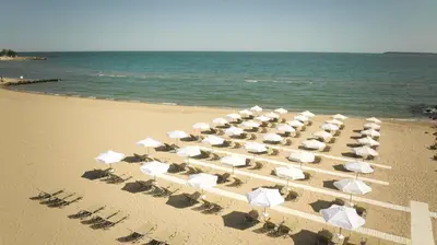a bunch of chairs and umbrellas on a beach at Dreams Sunny Beach Resort and Spa - Premium All Inclusive in Sunny Beach