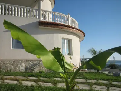 a large green plant in front of a house at Villa Sky Music in Obzor