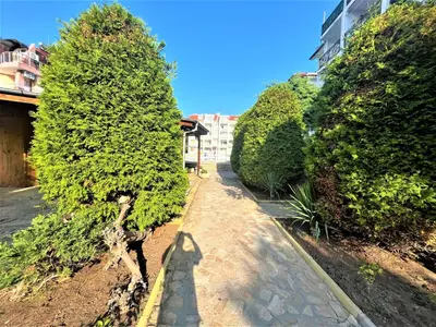 a tree in a sidewalk next to a street at Bravo 5 Apartments in Sunny Beach