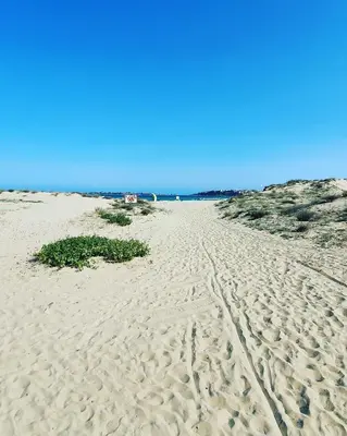 a sandy beach with footprints in the sand at Apartament CACAO RESIDENCE in Sunny Beach