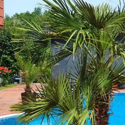 Apartament CACAO RESIDENCE
