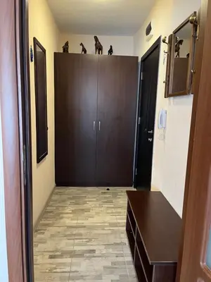 a hallway with a door with two cats on top of it at Апартамент Морска Звезда in Nesebar