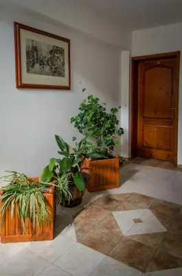 three potted plants in a room with a door at Kalypso Hotel in Primorsko