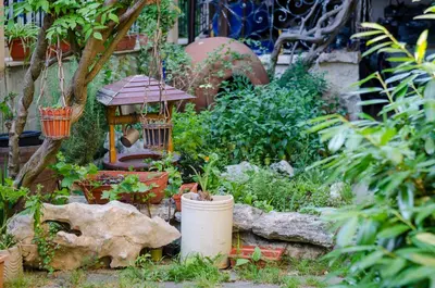 a miniature garden with a bird feeder and plants at Kalypso Hotel in Primorsko