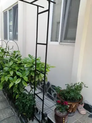 a plant stand in front of a house with plants at Top Center Apartment and Rooms Varna in Varna City