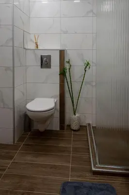a bathroom with a toilet and a potted plant at SOS CoMFORT in Burgas City