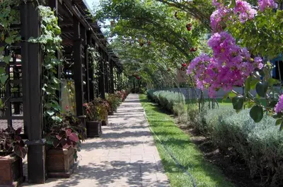 a garden with pink flowers in a greenhouse at Apartment in Trakia Plaza complex in Sunny Beach