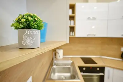 a kitchen with a pot with a plant on a counter at Luxury Nevena Apartment - Bogoridi super centre in Burgas City