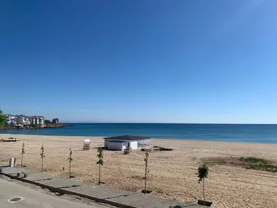a beach with palm trees and a building on it at Mare Nero in Sozopol