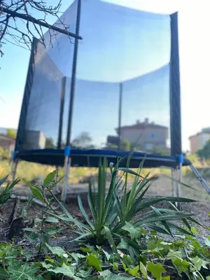 a mirror with a plant in front of it at Вила ОмниЯ in Chernomorets