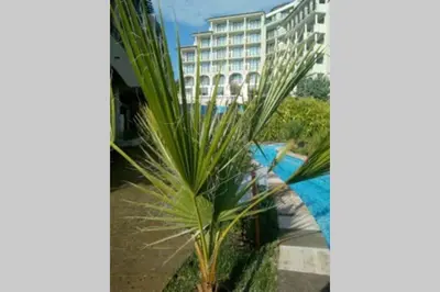 a palm tree in front of a large building at Studio at 
