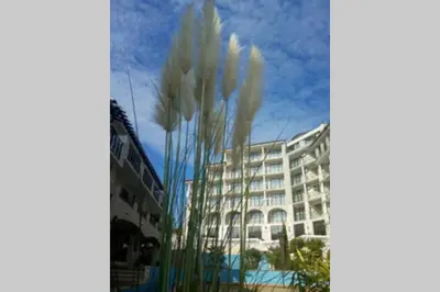 a large white building with tall grass in front of it at Studio at 