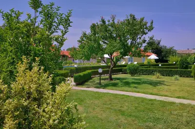 a garden with a tree and a sidewalk at BulgariaVilla - Sunny Hills Villas in Bryastovets