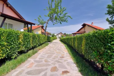 a cobblestone path in front of a hedge at BulgariaVilla - Sunny Hills Villas in Bryastovets